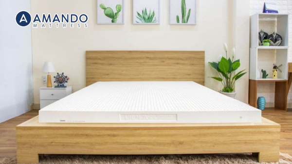 Mẫu đệm mùa hè nằm mát lưng