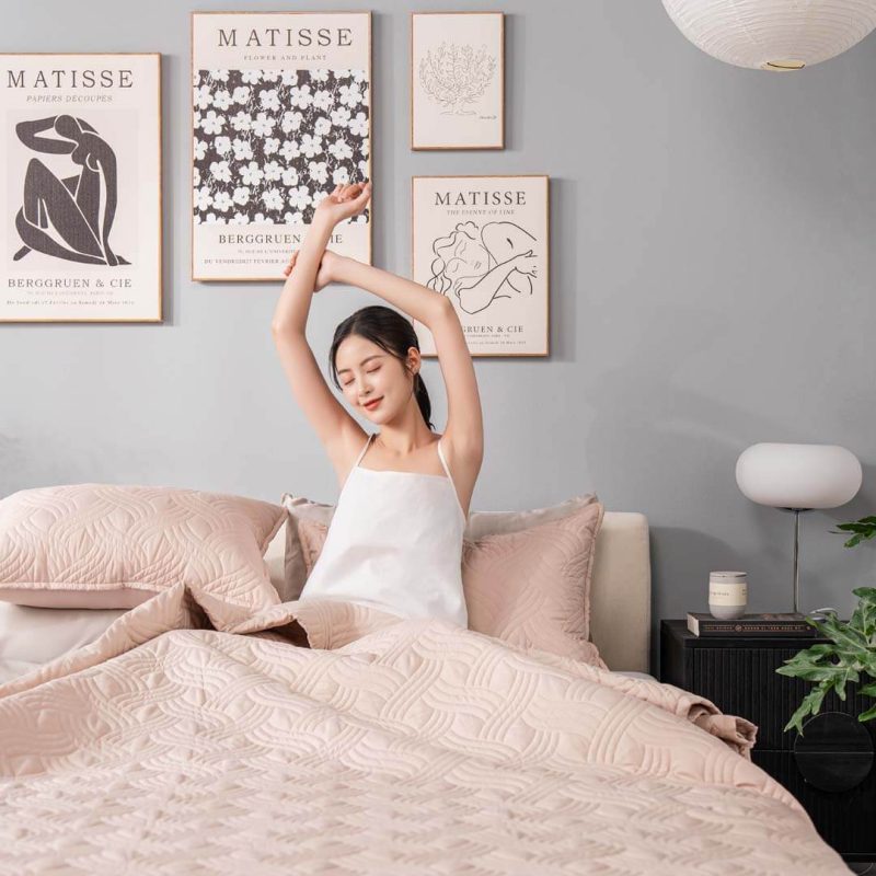 Bộ chăn chần, vỏ gối microfiber Amando Luna