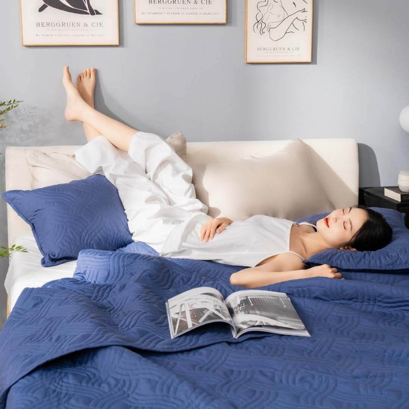 Bộ chăn chần, vỏ gối microfiber mềm mại, kháng khuẩn Amando Luna cao cấp 3 chi tiết