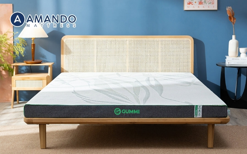 Hãng nệm Gummi cao cấp thế hệ mới