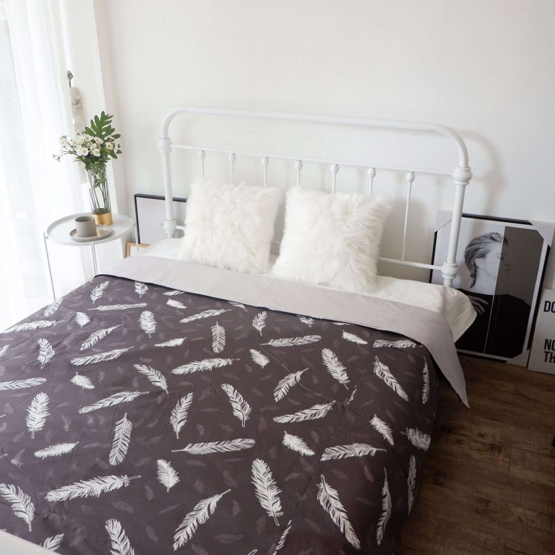 Chăn AMD Dream họa tiết màu sắc dịu nhẹ