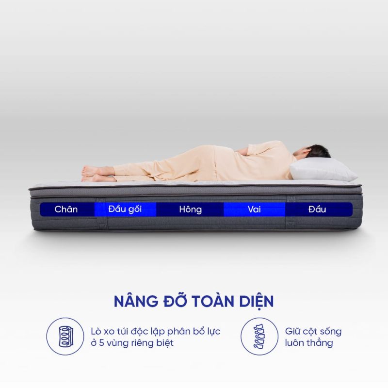 Hệ thống khung lò xo 5 vùng nâng đỡ chuyển động