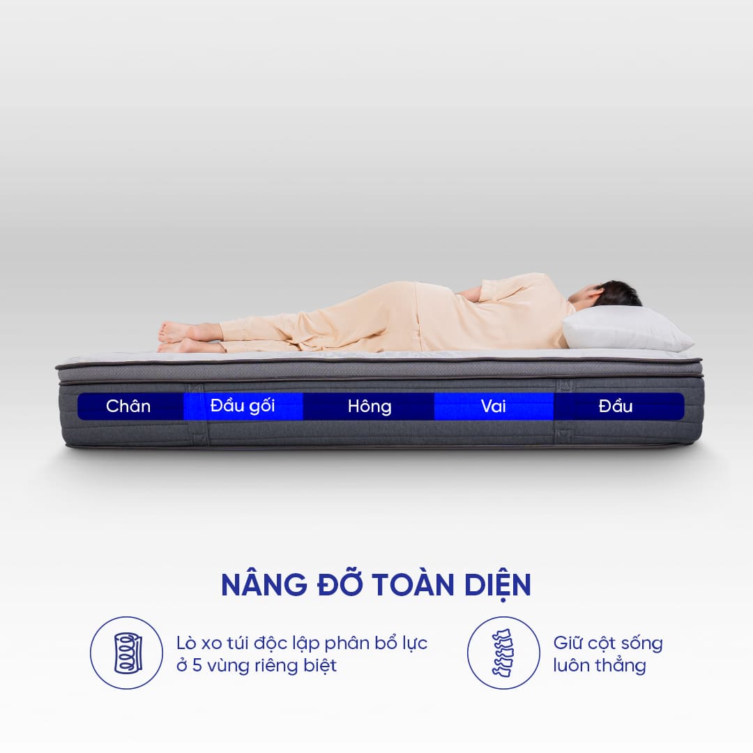Hệ thống khung lò xo 5 vùng nâng đỡ chuyển động