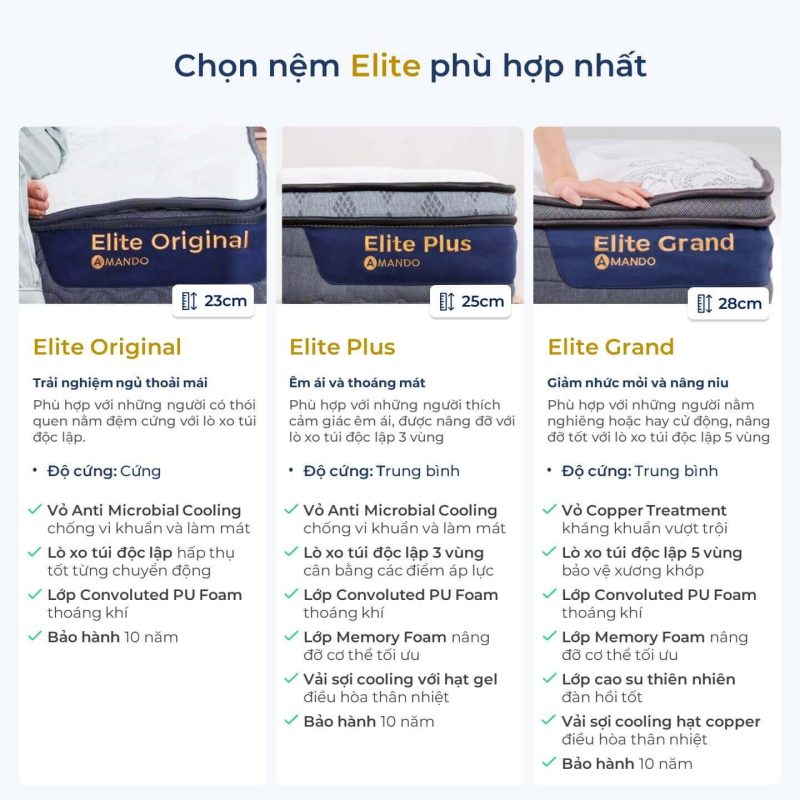 Nệm Amando Elite Plus lò xo