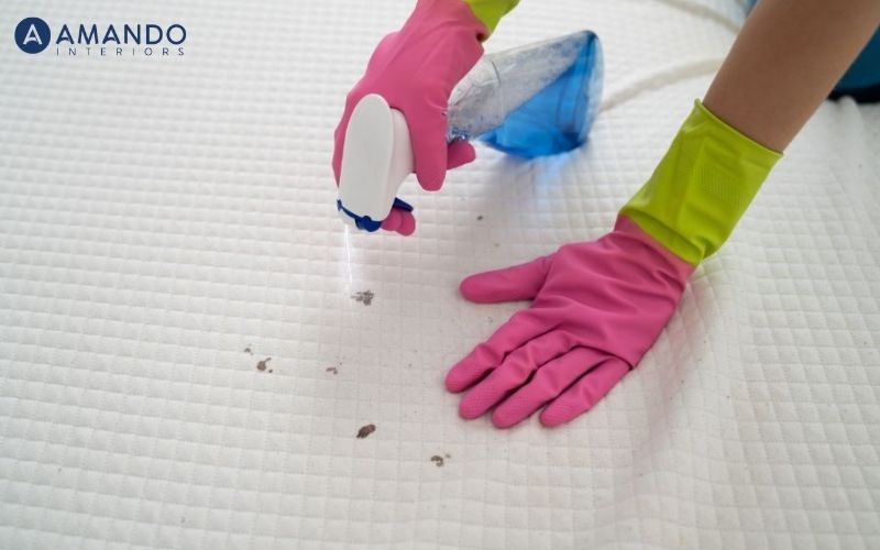 Gợi ý cách vệ sinh nệm lò xo tại nhà đơn giản, đúng chuẩn 2 Vệ sinh nệm giúp môi trường nghỉ ngơi luôn sạch sẽ