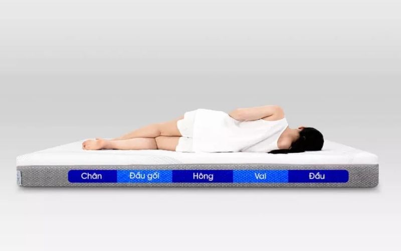 5 lý do nên mua nệm Comfy Cloud 3.0 tại Vua Nệm 5 Comfy Cloud 3.0 có khả năng nâng đỡ 5 vùng bảo vệ xương khớp