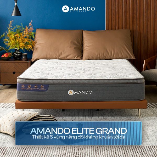 Người đau lưng chọn nệm gì phù hợp? Gợi ý top 10 sản phẩm 7 Nệm lò xo Amando Elite Grand