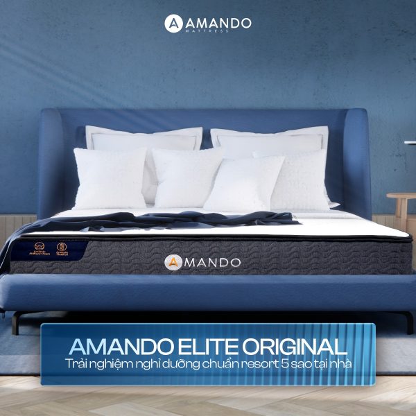Người đau lưng chọn nệm gì phù hợp? Gợi ý top 10 sản phẩm 5 Nệm lò xo Amando Elite Original