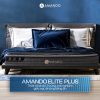 Nệm lò xo Amando Elite Plus