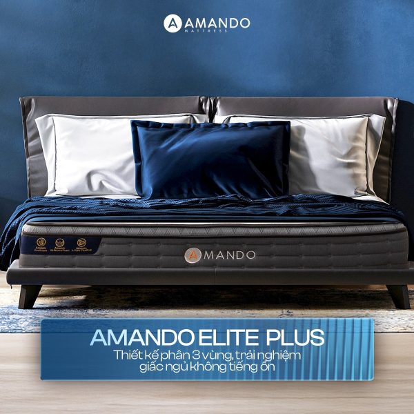 Người đau lưng chọn nệm gì phù hợp? Gợi ý top 10 sản phẩm 11 Nệm lò xo Amando Elite Plus