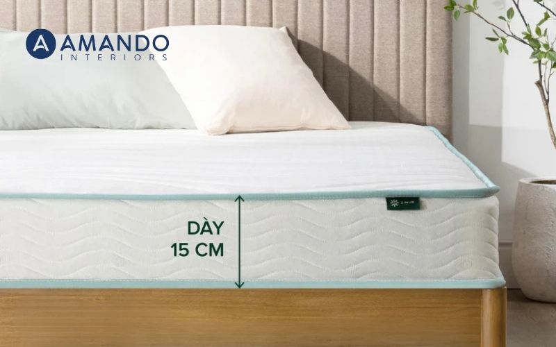 Ai nên sử dụng đệm lò xo 15cm?
