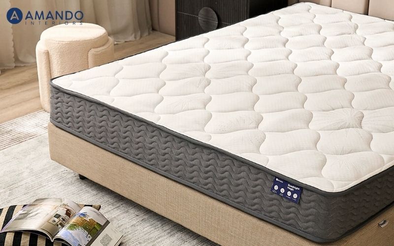 Đau lưng nên nằm đệm cứng hay mềm? Sự thật bạn cần biết 6 Với người bị cong vẹo cột sống, đệm phải đủ ổn định để giữ trục cột sống thẳng