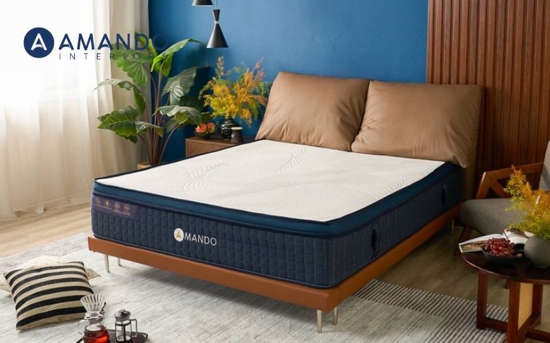 Có nên mua nệm lò xo? Kinh nghiệm chọn đệm lò xo chất lượng 14 Nệm lò xo 7 vùng Amando Innovation