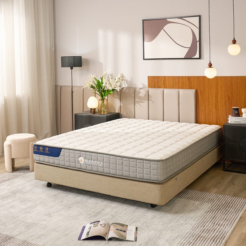 Nệm lò xo Amando Elite Flip 24cm