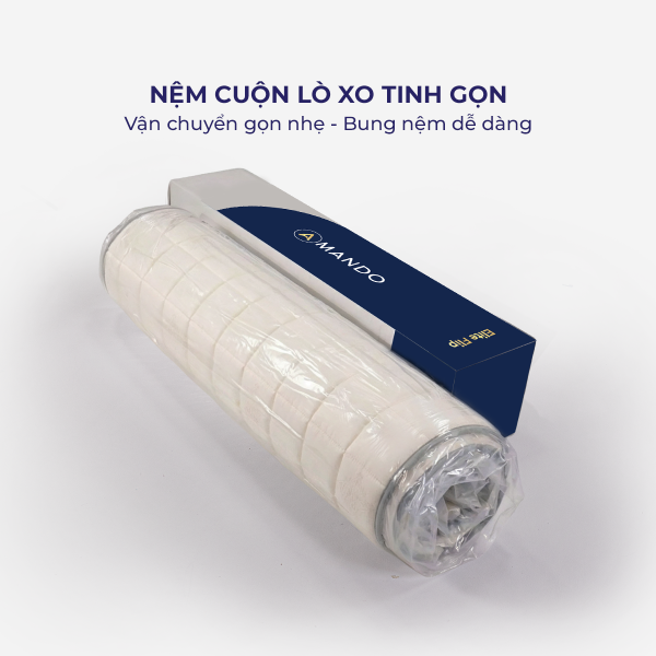 Nệm lò xo Amando Elite Flip 24cm