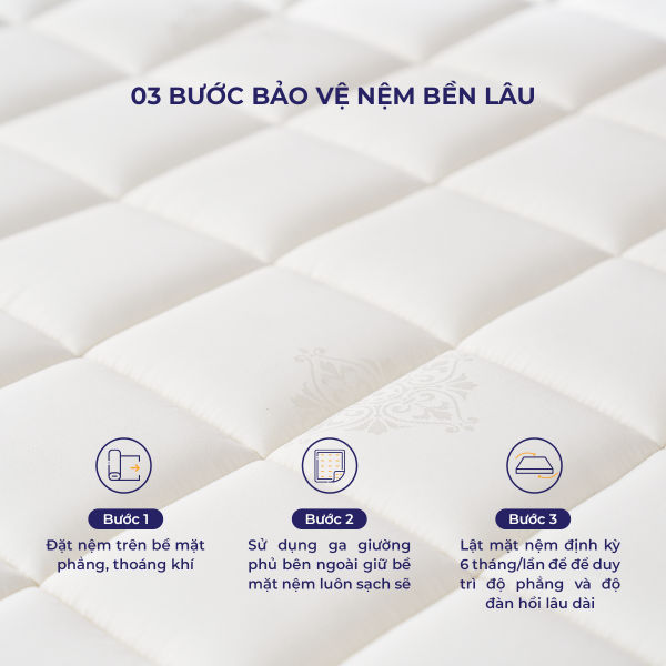 Nệm lò xo Amando Elite Flip 24cm