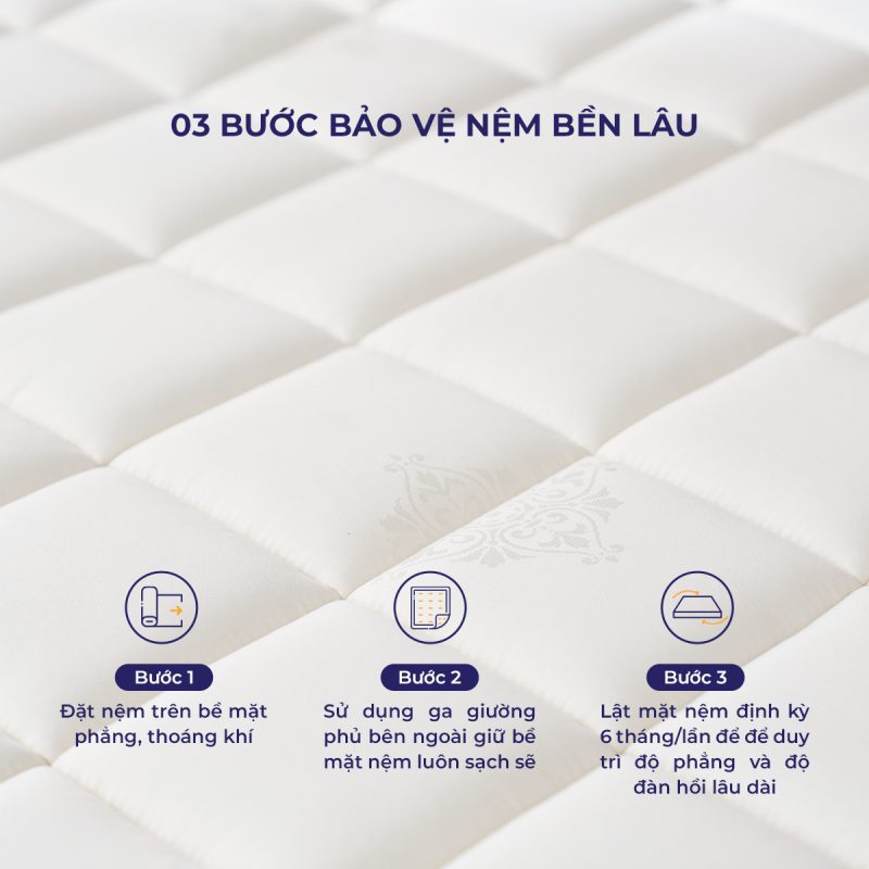 Nệm lò xo Amando Elite Flip 24cm