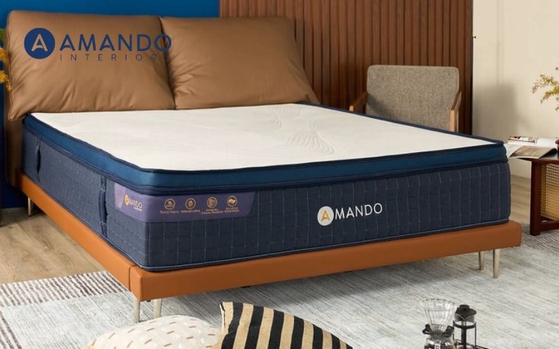 Đệm lò xo cứng là gì? Địa chỉ mua nệm lò xo cứng chất lượng 6 Nệm lò xo Amando Innovation