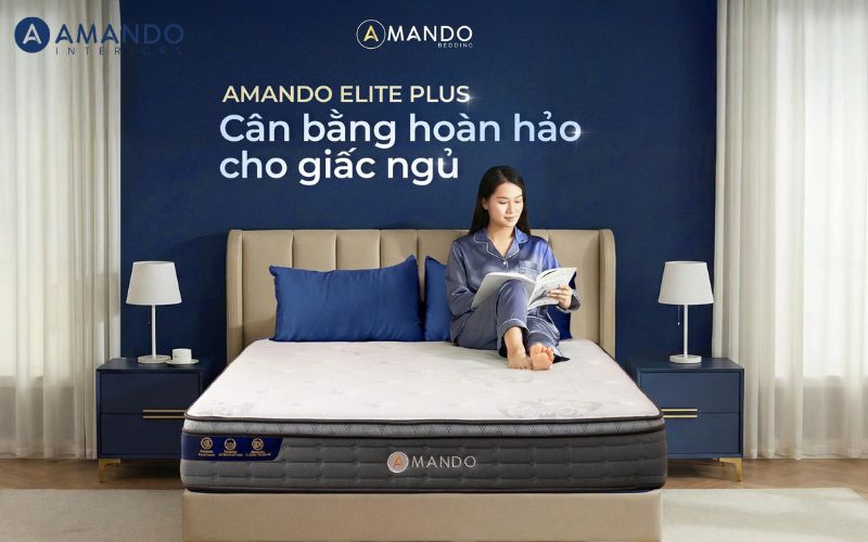 Nệm lò xo Amando Elite Plus
