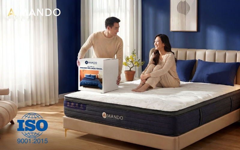 Hướng dẫn xác minh chứng nhận ISO 9001:2015 của Amando