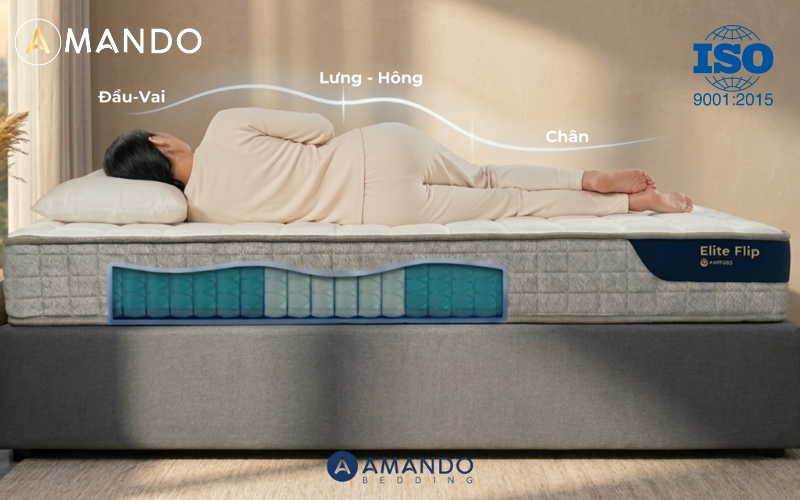 chung nhan iso 9001 2015 tren nem amando 12