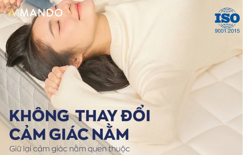 chung nhan iso 9001 2015 tren nem amando 13