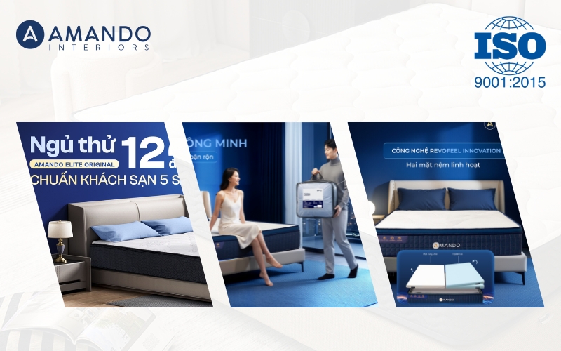 chung nhan iso 9001 2015 tren nem amando 8