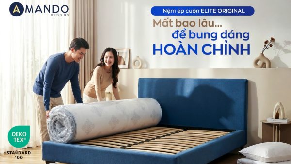 Chứng nhận OEKO-TEX 100 trên nệm lò xo Amando là gì? Gợi ý 6 mẫu nệm đạt chuẩn