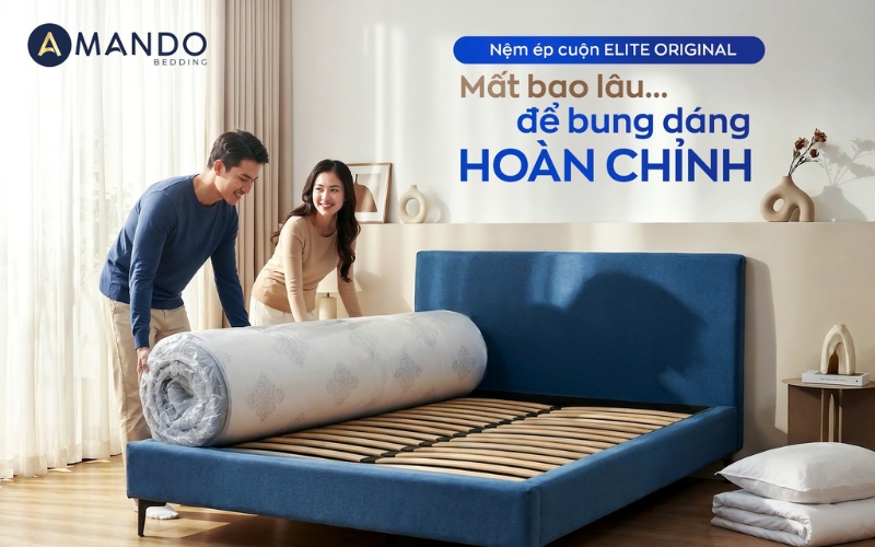 Chứng nhận OEKO-TEX 100 trên nệm lò xo Amando là gì? Gợi ý 6 mẫu nệm đạt chuẩn 2 Chứng nhận OEKO-TEX 100 trên nệm lò xo Amando là gì? Gợi ý 6 mẫu nệm đạt chuẩn