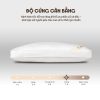 Gối bông Amando Kapok Premium 7 goi bong amando kapok premium 1 4
