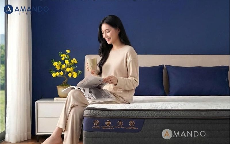 Kinh nghiệm bỏ túi khi chọn nệm lò xo ngoại cỡ 220x200