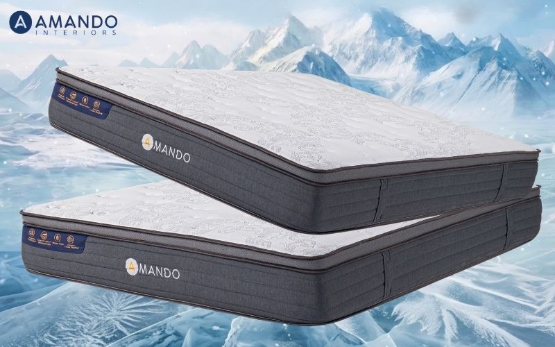 Đệm điều hòa cho người già có tốt không? Gợi ý 5 mẫu thoáng khí, bền đẹp 14 Chọn đệm điều hòa lò xo chất lượng cho người già từ Amando