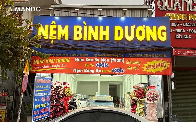Nệm Bình Dương cung cấp đa dạng các dòng nệm từ phổ thông đến trung cấp