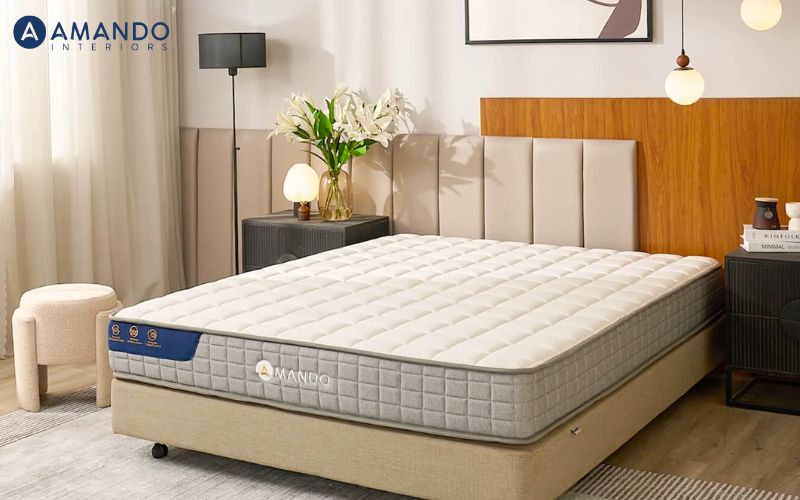 Nệm 80cm có phổ biến không? Gợi ý 10 mẫu nệm kích thước nhỏ gọn, thiết kế theo yêu cầu 8 Các dòng nệm kích thước nhỏ của Amando là lựa chọn thích hợp cho những ai thích nệm kích thước nhỏ nhưng êm ái và nâng đỡ tốt