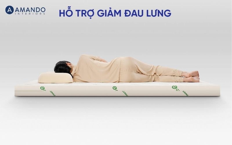 Bảng giá nệm 80x180, top 6 nệm 80x180 giá tốt, chất lượng 2026 5 Nệm cao su thiên nhiên Gummi Classic