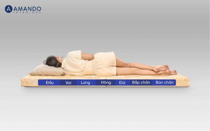 Top 10 mẫu nệm gấp 1m8x2m giá tốt, tiện lợi cho gia đình 5 Nệm gấp 2 bông ép Wonjun Pure Carbon