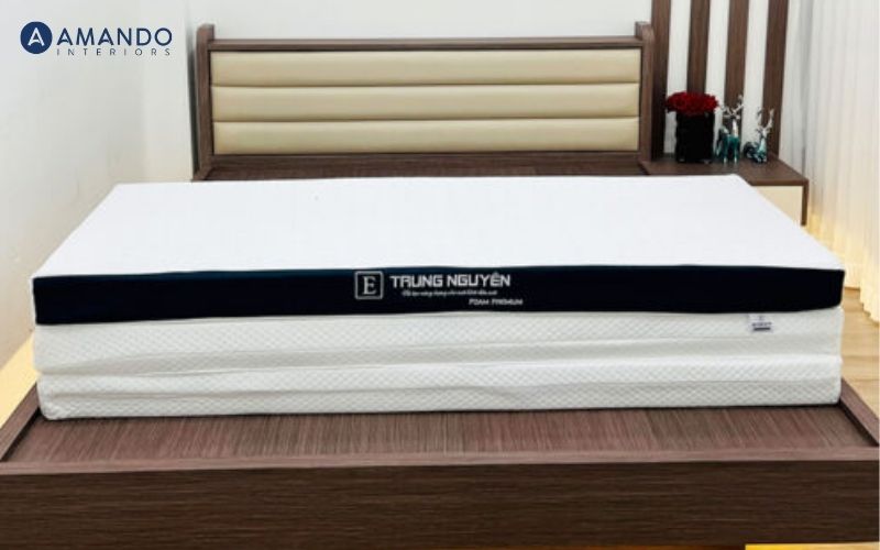 Top 10 mẫu nệm gấp 1m8x2m giá tốt, tiện lợi cho gia đình 7 Nệm Foam Premium Trung Nguyên Gấp 3
