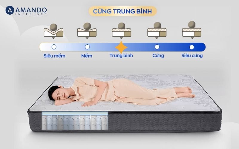 Bảng giá nệm 80x180, top 6 nệm 80x180 giá tốt, chất lượng 2026 8 Nệm lò xo Amando Elite Original túi độc lập