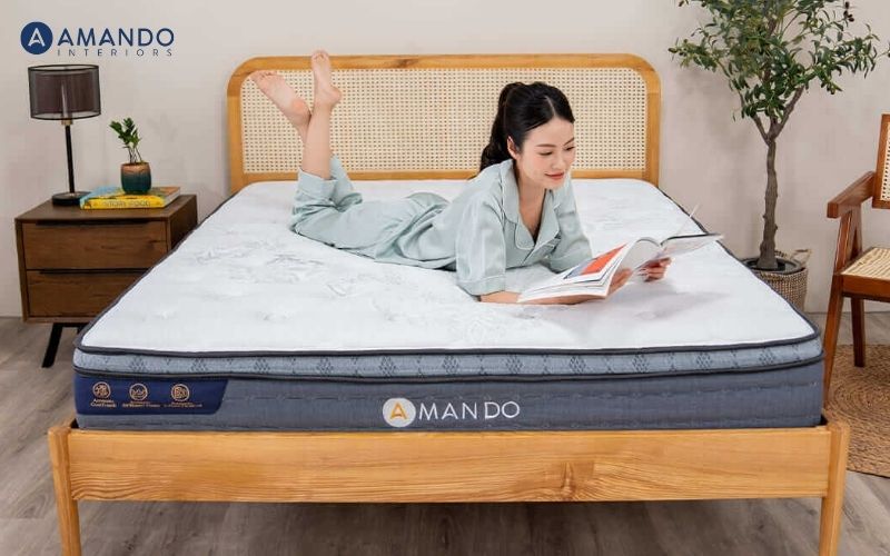 Nệm lò xo Amando Elite Plus 25cm