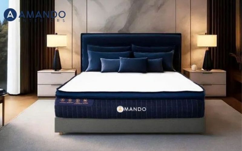 Nệm lò xo Amando Innovation 30cm