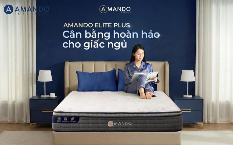 Nệm Queen là gì? Kích thước, giá và gợi ý mẫu nệm chất lượng 7 Nệm lò xo Amando Elite Plus