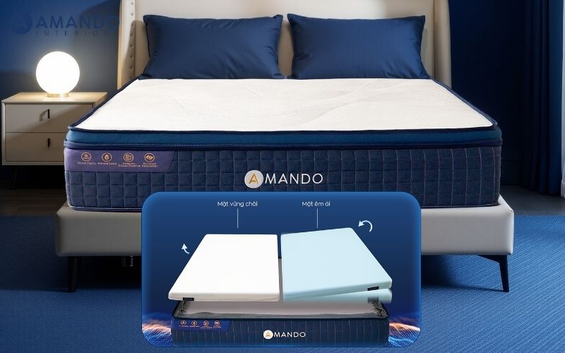 Nệm Queen là gì? Kích thước, giá và gợi ý mẫu nệm chất lượng 8 Nệm lò xo Amando Innovation