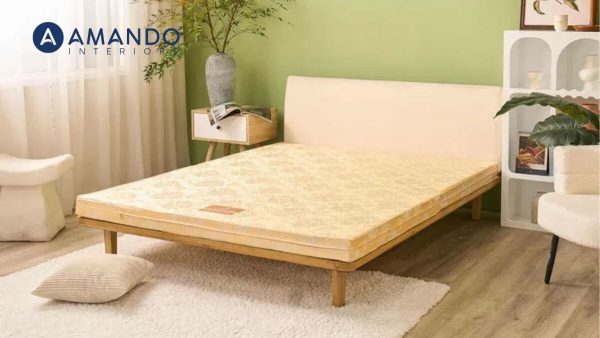 Top 5 mẫu nệm mỏng 1m6x2m phù hợp mọi phong cách nội thất