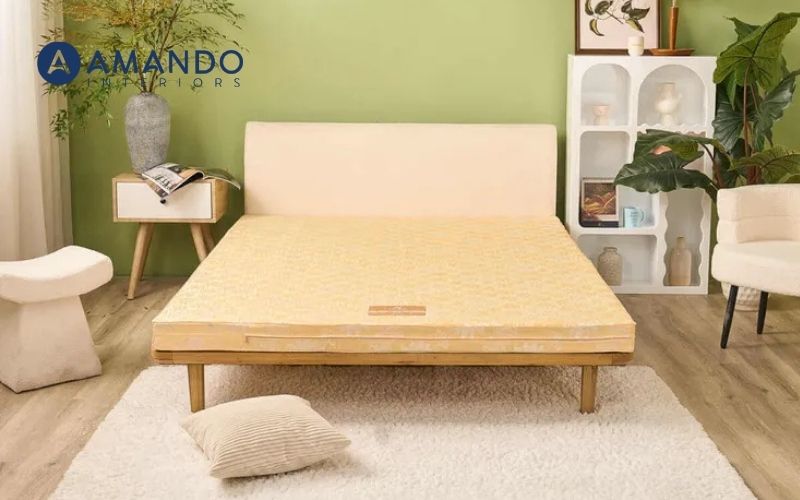 Nệm mỏng 1m6 Wonjun Pure Carbon