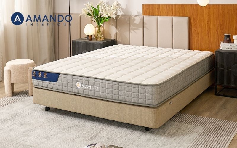 Mua nệm ở đâu Vĩnh Phúc? Top 10 cửa hàng nệm uy tín, giá tốt 3 Amando cung cấp nhiều sản phẩm nệm với đa dạng các mức giá