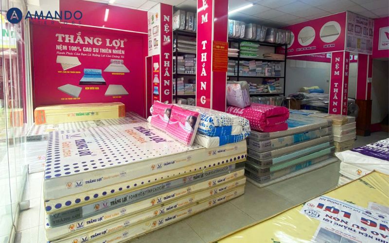 Top 10 cửa hàng nệm Đắk Lắk uy tín, chất lượng, giá tốt 15 Các sản phẩm nệm Thắng Lợi có mức giá tương đối dễ tiếp cận