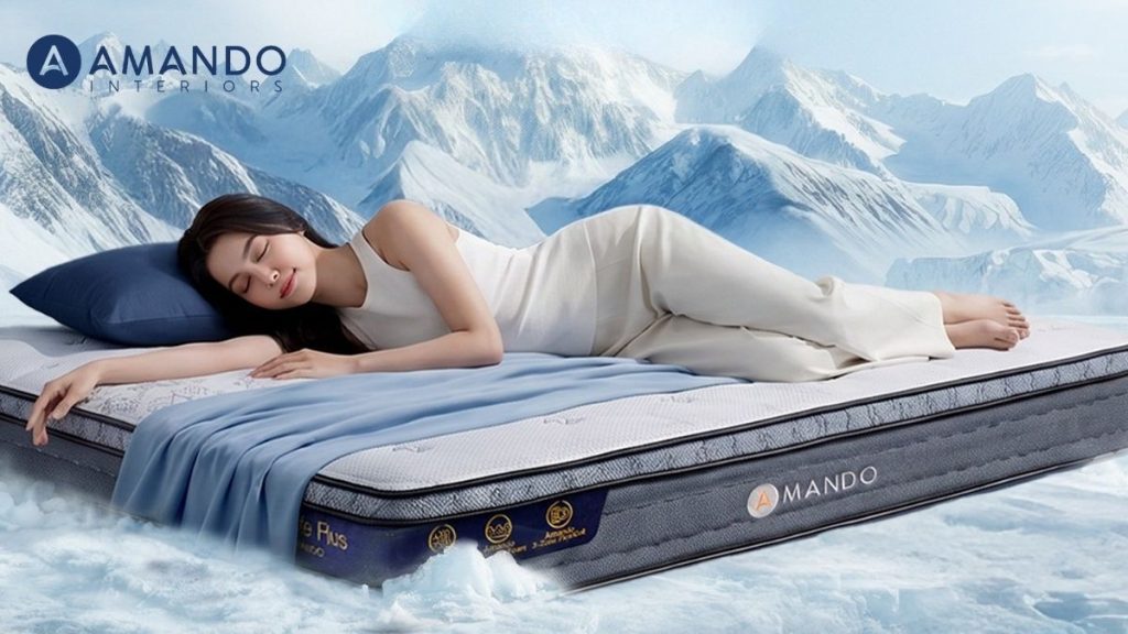Khám phá 12 cửa hàng nệm Đồng Nai uy tín, giá tốt 2026 1 Cửa hàng nệm Đồng Nai