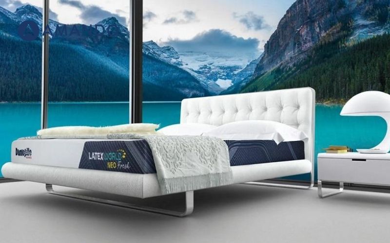 Top 11 cửa hàng nệm Long An chất lượng cho mọi gia đình 6 Showroom nệm chính hãng Dunlopillo