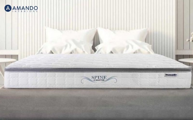 Mua nệm ở đâu Quận 8? Top 10 cửa hàng nệm uy tín, giá tốt 8 Cửa hàng nệm Dunlopillo