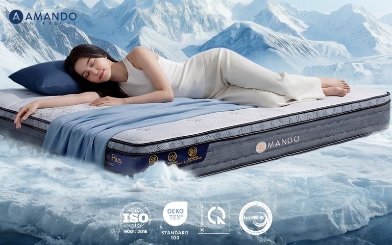 Top 10+ cửa hàng nệm quận Cầu Giấy giá rẻ, đáng mua 2026 2 Mua nệm Cầu Giấy ở Amando